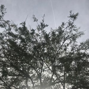 Meet your Posher, Estela